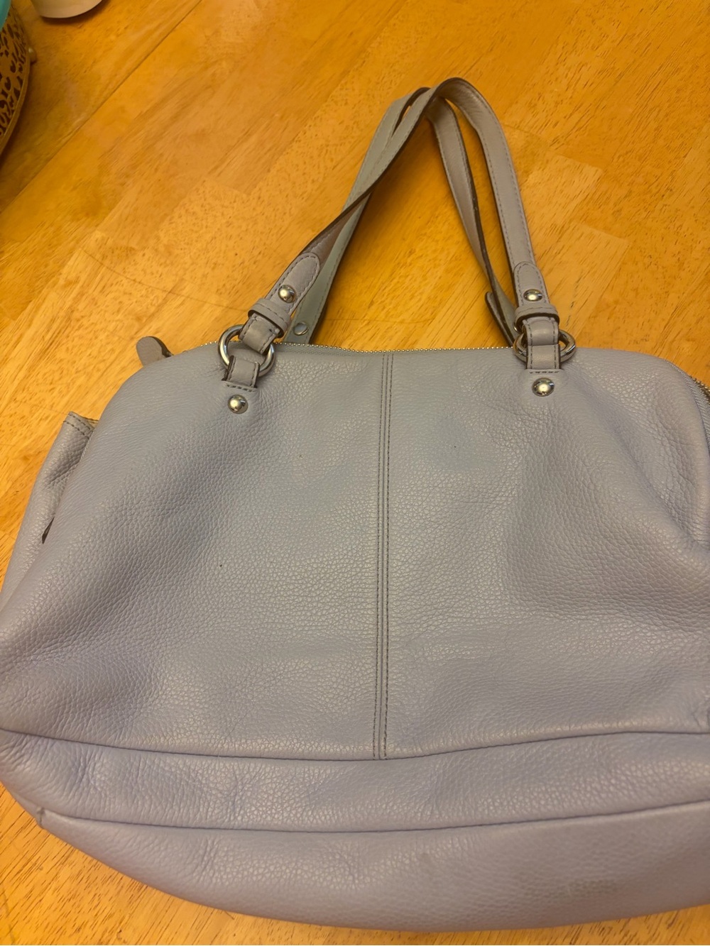 Coach Penelope - Picture 3 of 14